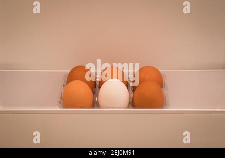 Ein halbes Dutzend Bio-Eier 1 weiß und 5 braun In einer Kühlschranktür aufbewahrt Stockfoto