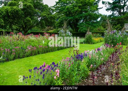 Cotehele Haus und Garten in Cornwall. Stockfoto