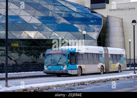 Ottawa, Ontario, Kanada - 6. Februar 2021: Ein Stadtbus der Société de Transport de l'Outaouais (STO) Transitdienst in Quebec kreuzt die Stockfoto