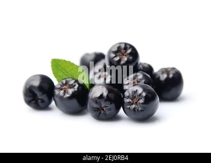 Schwarze Apfelbeere isoliert auf weißem Hintergrund. Schwarze Aroniabeeren. Stockfoto