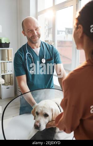 Vertikales Porträt von reifen Tierarzt Untersuchung Hund in der Tierklinik Im Gespräch mit einer jungen Frau Stockfoto