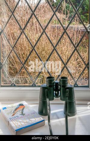 Fernglas und Vogelerkennungsführer bereit für die Vogelbeobachtung vom Gartenfenster. Stockfoto