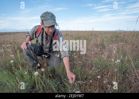 Jeff Fields, Program Manager für Zumwalt Prairie Preserve von TNC in Oregon, überprüft die Bedingungen auf dem Preserve. Stockfoto