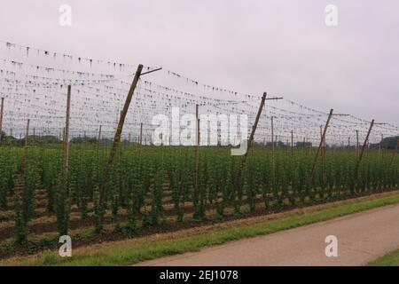 Impressionen aus Bad Gögging Stockfoto