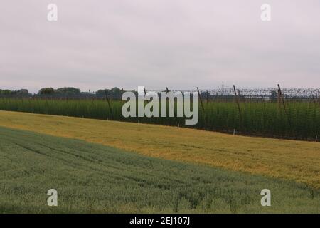 Impressionen aus Bad Gögging Stockfoto