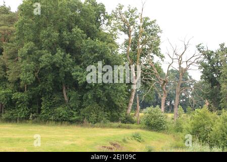 Impressionen aus Bad Gögging Stockfoto