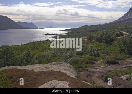 Lofoten, Lofoty, Norwegen, Norwegen; Rocky Mountains and the Sea - eine typische Sommerlandschaft im Norden Norwegens hinter dem Polarkreis. Stockfoto