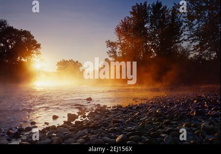 Nebel steigt von Boise River an einem kalten Herbstmorgen in Boise, Idaho Stockfoto