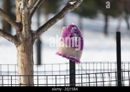 Ein mit Schnee bedeckter rosa Strickhut hängt an einem Parkzaun neben einem Baum, wie verloren, im Winter nach einem Schneesturm bedeckt Schnee den Boden Stockfoto