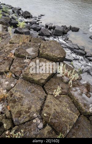 Columnar Basalt Formation am Ufer des Lower Salmon River, Idaho. Stockfoto