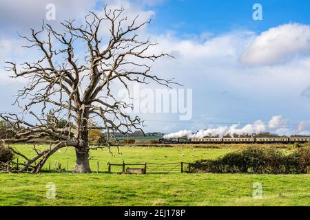 35006 Peninsular und Oriental SN.Co reisen durch die Cotswold Landschaft In Didbrook bei Toddington auf der Gloucestershire Warwickshire Railway Stockfoto