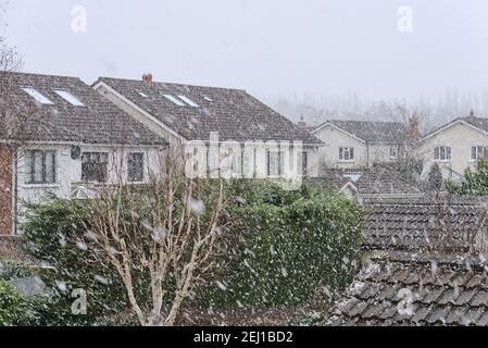 Schöner starker Schneefall in Ballinter, Southern Dublin, Irland. Betrachtet vom Fenster während der Coronavirus-Sperre. Ungewöhnlicher irischer Winter 2021 Stockfoto