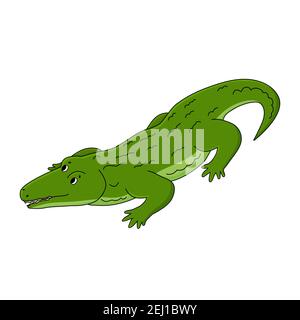 Vektor Cartoon glücklich Umriss grün Krokodil. Tier ist auf weißem Hintergrund isoliert Stock Vektor