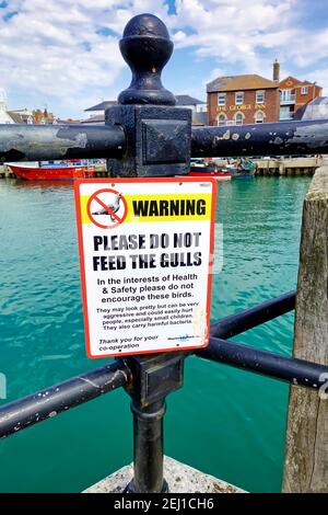 Weymouth, Dorset / UK - Juli 25 2019: Warnung Bitte füttern Sie nicht das Möwen-Schild, das an Metallgeländern am Weymouth Harbour in Dorset, England, UK angebracht ist Stockfoto