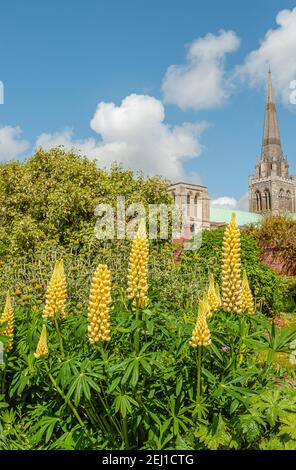 Chichester Cathedral von Bishops Palace Garden im Frühling, West Sussex, England, Großbritannien Stockfoto