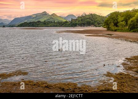 Landschaft am Derwent Water, einem der wichtigsten Seen im Lake District National Park, Cumbria, England Stockfoto