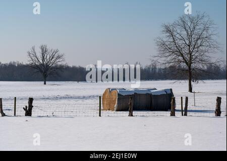 Schneebedeckte Heuballen. Stockfoto