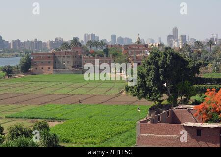 Dahab Island die Goldinsel des Nils in Gizeh Ägypten in der Nähe von Kairo, umgeben vom Nil Stockfoto