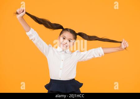 Schülerin Schüler lange Haare cute Pferdeschwänze Frisur. Pädagogisches Programm. Adorable Schulmädchen. Homeschooling oder besuchen regelmäßig die Schule. Die Effizienz des Studiums. Emotionaler Ausdruck Schulmädchen. Stockfoto