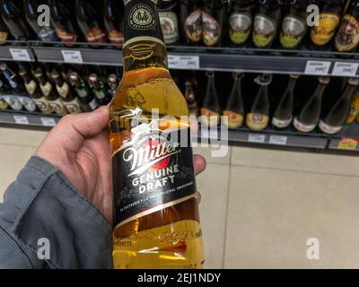 BELGRAD, SERBIEN - 19. FEBRUAR 2021: Hände halten eine Flasche Miller echtes Bier vom Fass. Miller Brewing Company ist ein amerikanisches helles helles Lagerbier. Stockfoto