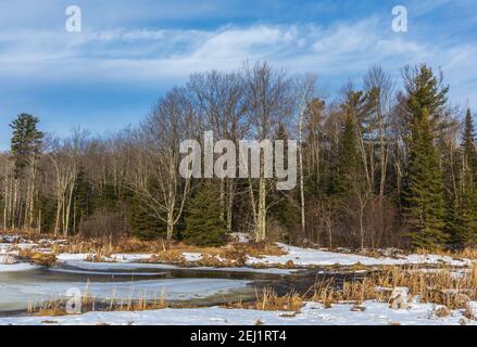 Der Übergang vom Winter zum Frühling in einem Feuchtgebiet im nördlichen Wisconsin. Stockfoto