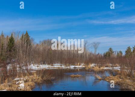 Der Übergang vom Winter zum Frühling in einem Feuchtgebiet im nördlichen Wisconsin. Stockfoto