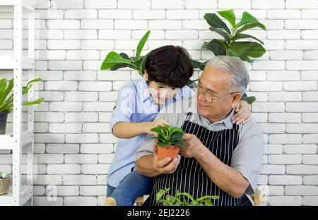 Ein Großvater im Ruhestand lehrt seinen Enkel, die Eigenschaften von Pflanzen in Töpfen zu betrachten. Entspannende Atmosphäre im Urlaub zu Hause. Stockfoto