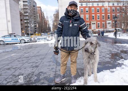 New York, Usa. Februar 2021, 20th. NEW YORK, NY - FEBRUAR 20: Protest mit einem irischen Wolfhound am Ende gesehen die Gewalttätigkeit gegen Asiaten Kundgebung im Washington Square Park am 20. Februar 2021 in New York City. Seit Beginn der Coronavirus-Pandemie hat die Gewalt gegenüber asiatischen Amerikanern deutlich höher zugenommen als in den Vorjahren. Das New York City Police Department (NYPD) berichtete 1.900 über einen Anstieg der anti-asiatischen Hassverbrechen um 2020%. Kredit: Ron Adar/Alamy Live Nachrichten Stockfoto