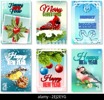 Set von weihnachten Winter Karten mit Vögeln, Tannenzweigen und Beeren, Urlaub Dekorationen, Schnee isoliert Vektor-Illustration Stock Vektor