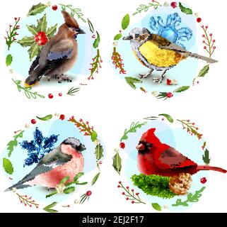 Design-Konzept mit Wintervögeln, Schneeflocken, Fichtenzweig, dekorative Rahmen aus Beeren und Blätter isoliert Vektor-Illustration Stock Vektor