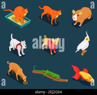Tierhandlung bunte isometrische Symbole mit Meerschweinchen Katze gesetzt Hund Eidechse auf dunklem Hintergrund Vektor-Illustration Stock Vektor