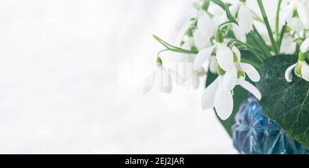Weiße Schneeglöckchen Galanthus nivalis in einer Vase close-up auf weißem Hintergrund. Ein zarter Frühlingsstrauß. Das Konzept der ersten Blumen, frühen Frühling, Stockfoto