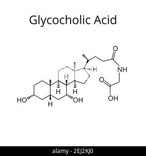Glycocholsäure. Gallensäure. Chemische Molekülformel Glycocholsäure. Vektorgrafik auf isoliertem Hintergrund Stock Vektor