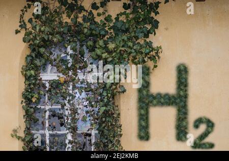 Wasserstoff h2 Buchstaben mit gleichen Pflanzen wachsen über einem Fenster Stockfoto