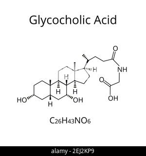 Glycocholsäure. Gallensäure. Chemische Molekülformel Glycocholsäure. Vektorgrafik auf isoliertem Hintergrund Stock Vektor