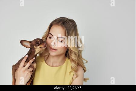 Eine fröhliche Blondine in einem gelben Kleid hält ein Reinrassige Hündin in ihren Händen Stockfoto