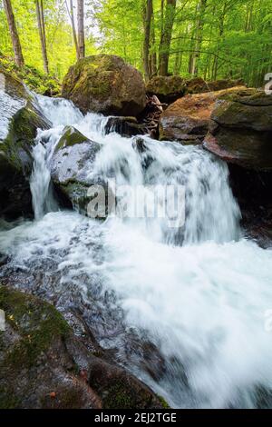 Kleiner Wasserfall im Wald. Sauberes Wasser eines Bergflusses fließt zwischen Felsen. Frühling Natur Hintergrund. Üppiges grünes Laub auf den Bäumen auf einem sonnigen Stockfoto