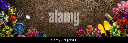 Pflanzen von Frühlingsblumen im Garten Stockfoto