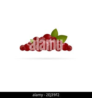 Set Preiselbeeren mit Blättern auf weißem Hintergrund. Vektor-Illustration шт Cartoon flachen Stil Stock Vektor