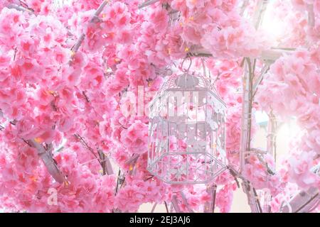Rosa große Blüten, die auf den Zweigen des Sakura-Baumes blühen. Käfig für Vögel mit Schmetterlingen Stockfoto