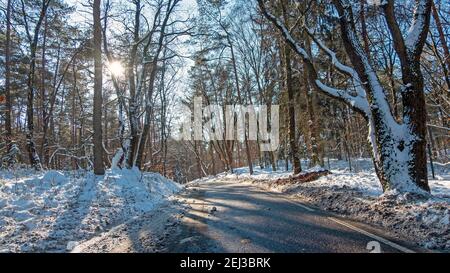 Landstraße in den verschneiten Wäldern in den Niederlanden auf Ein Wintertag Stockfoto