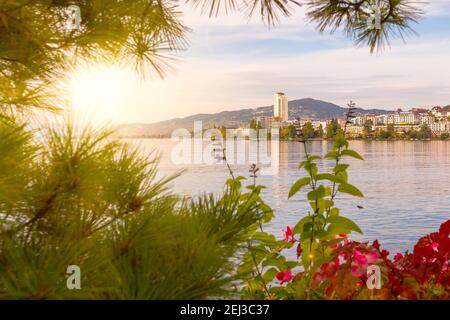 Blumen blühen an der Promenade des Genfer Sees, Montreux Riviera, Schweiz, Sonne und Stadtbild Stockfoto