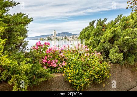 Blumen blühen an der Promenade des Genfer Sees, Montreux Riviera, Schweiz, Stadtbild Stockfoto