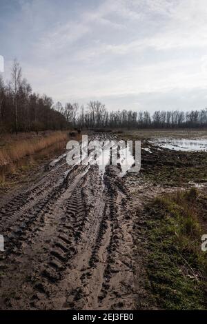 Schlammige Straße zu einem Feld nach einem regnerischen Tag Stockfoto