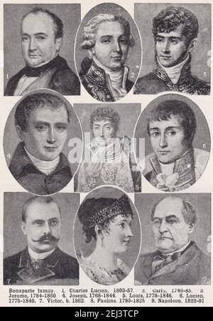 Bonaparte Family Line Stockfoto