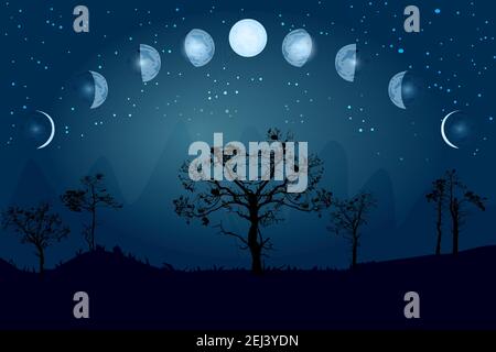 Mondphasen. Ganzer Zyklus von Neumond bis voll. Mondzyklus ändern. Neu, wachsend, Viertel, Halbmond, halb, voll, abnehmend, Eclipse.Night Landschaft mit Bäumen Stock Vektor