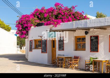 Chora, Insel Folegandros, Griechenland - 25. September 2020: Traditionelle griechische weiße Architektur im Zentrum von Chora. Rosa Bugenwilla auf dem Dach. Stockfoto