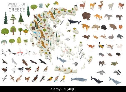 Isomatric 3D Design von Griechenland Tierwelt. Tiere, Vögel und Pflanzen Konstruktor Elemente isoliert auf weißem Set. Erstellen Sie Ihre eigene Geographie Infografiken CO Stock Vektor