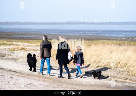 Dangast, Deutschland. Februar 2021, 21st. Bei sonnigem Wetter geht eine Familie mit ihren Hunden am Strand entlang. Quelle: Hauke-Christian Dittrich/dpa/Alamy Live News Stockfoto