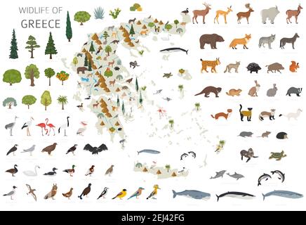 Flaches Design der griechischen Tierwelt. Tiere, Vögel und Pflanzen Konstruktor Elemente isoliert auf weißem Set. Erstellen Sie Ihre eigene Geographie Infografiken Sammlung Stock Vektor